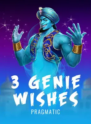 3 Genie Wishes